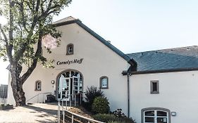 Hotel Cornelyshaff
